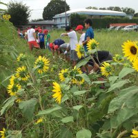 登校日と学びの広場