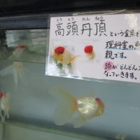 生き物いろいろ