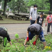 花壇も衣替え