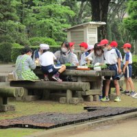 緑のボランティア　ありがとうございます