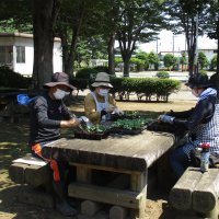 緑のボランティアさん、ありがとうございます。