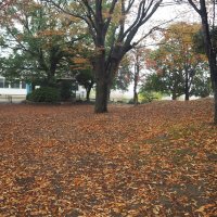 秋の雨の東小