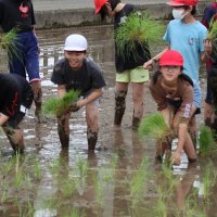 ５年生 田植え体験！