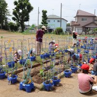 観察→「知る」の第一歩