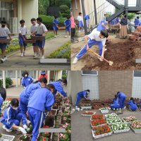 ２年　プランター土入れ＆苗植え